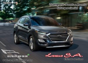 Lee más sobre el artículo TRANSPORTE Puerta a Puerta Interprovincial