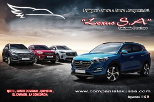 Lee más sobre el artículo TRANSPORTE PUERTA A PUERTA INTERPROVINCIAL