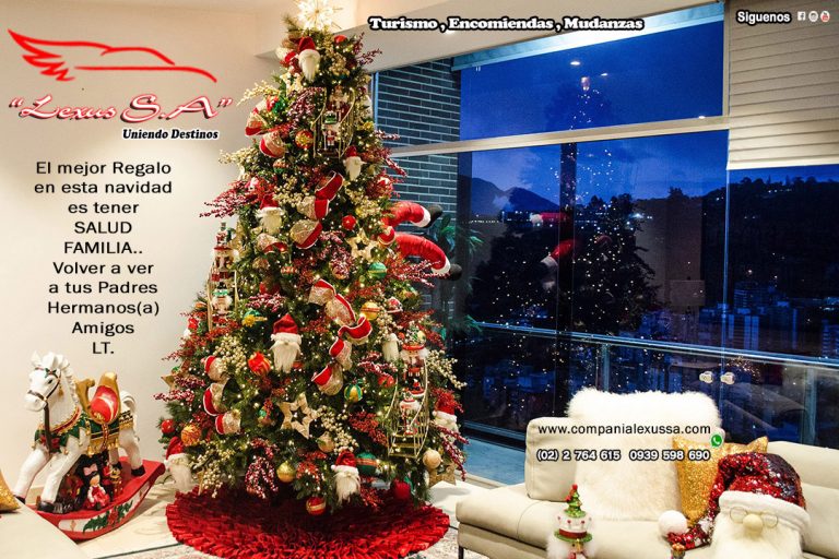 EN ESTA NAVIDAD NO TE QUEDES SIN VIAJAR 0939598690